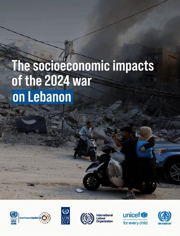 Socioeconomic Impacts of the 2024 War on Lebanon
