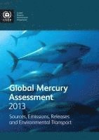 United Nations Environment Programme, United Nations Publications - Global mercury assessment 2013, Häftad
