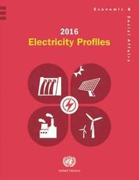 bokomslag 2016 electricity profiles