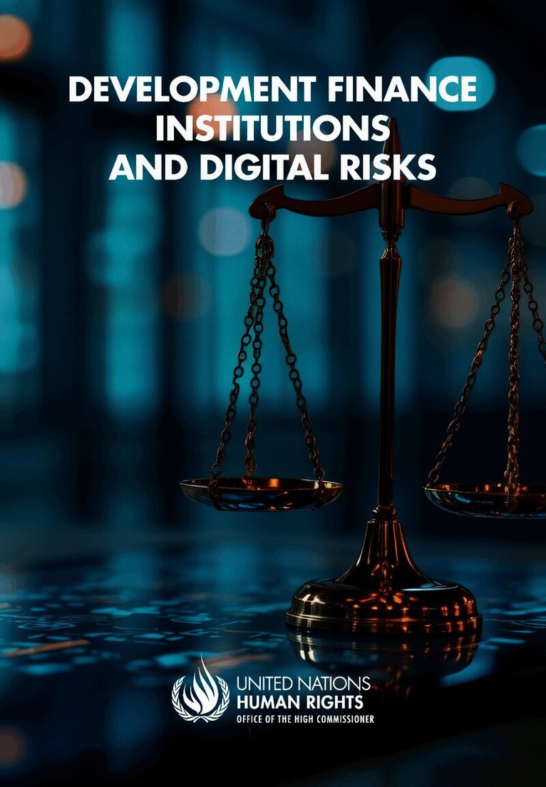 Development Finance Institutions and Digital Risks