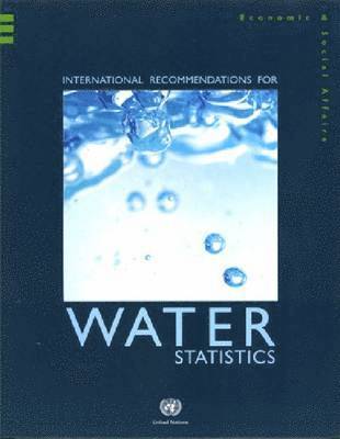 bokomslag International recommendations for water statistics
