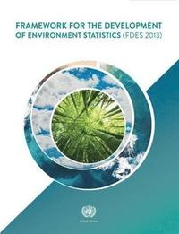 bokomslag Framework for the Development of Environment Statistics 2013