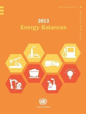bokomslag 2013 Energy Balances