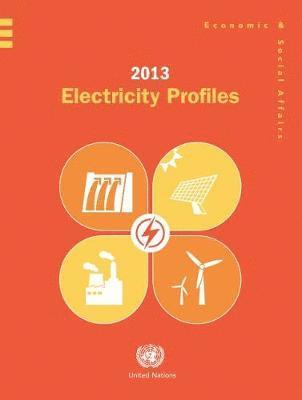 bokomslag 2013 Electricity Profiles