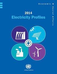 bokomslag 2014 electricity profiles