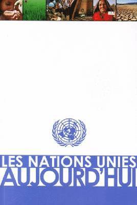 bokomslag Les Nations Unies aujourd'hui