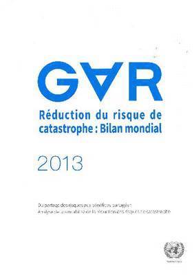 bokomslag Rduction du risque de catastrophe, Bilan mondial 2013