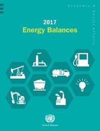 bokomslag 2017 Energy Balances