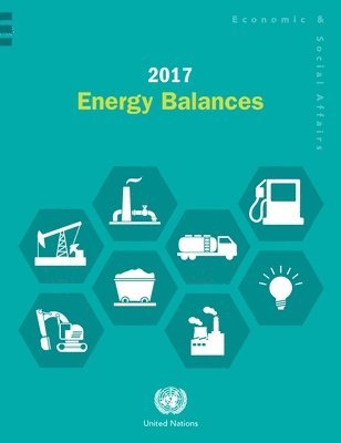 bokomslag 2017 Energy Balances