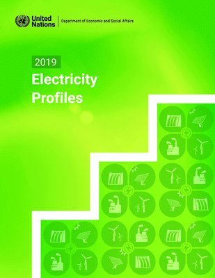 United Nations: Department of Economic and Social Affairs: Statistics Division, United Nations Publications - 2019 electricity profiles, Häftad
