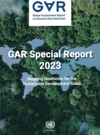 bokomslag Global assessment report on disaster risk reduction 2023