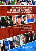 Principios Rectores Sobre Las Empresas Y Los Derechos Humanos