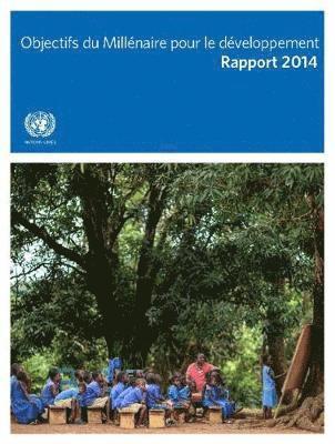 Objectifs Du Millénaire Pour Le Développement