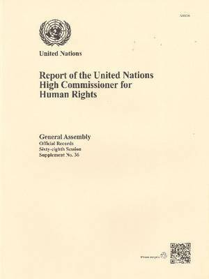 bokomslag Report of the United Nations High Commissioner for Human Rights
