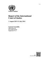 bokomslag Report of the International Court of Justice