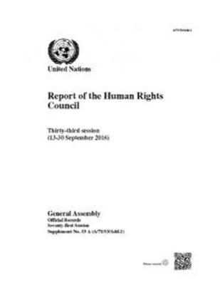 bokomslag Report of the Human Rights Council