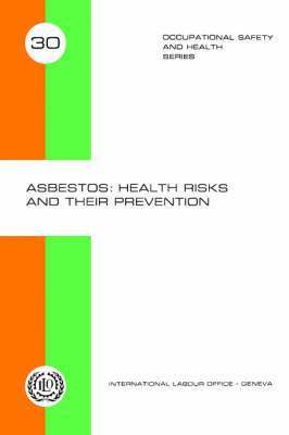 bokomslag Asbestos