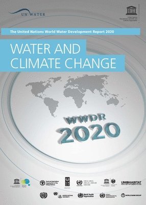 bokomslag The United Nations World Water Development Report 2020