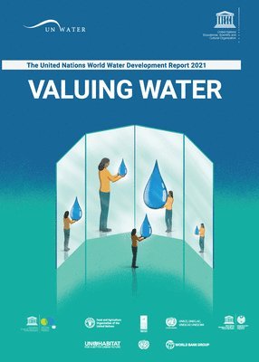 bokomslag United Nations World Water Development Report 2021