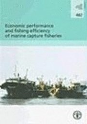 bokomslag Economic Performance and Fishing Efficiency of Marine Capture Fisheries