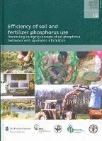 bokomslag Efficiency of Soil and Fertilizer Phosphorus Use