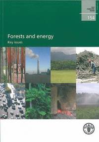 bokomslag Forests and Energy