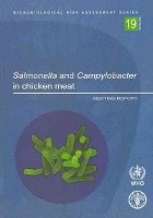 bokomslag Salmonella and Campylobacter in chicken meat