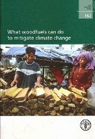 bokomslag What Woodfuels Can Do to Mitigate Climate Change