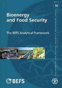 bokomslag Bioenergy and Food Security