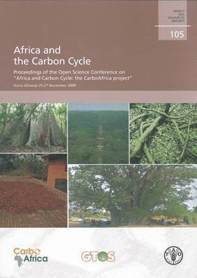 A. Bombelli, R. Valentini - Africa and the Carbon Cycle, Häftad