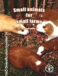 bokomslag Small animals for small farms