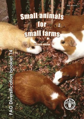 bokomslag Small animals for small farms