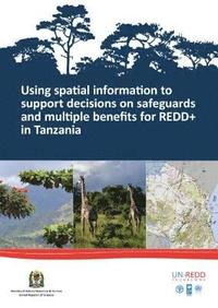 bokomslag Using spatial information to support decisions on safeguards and multiple benefits for REDD+ in Tanzania
