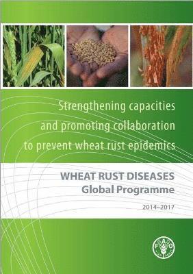 Wheat Rust Diseases Global Programme 2014-2017 1