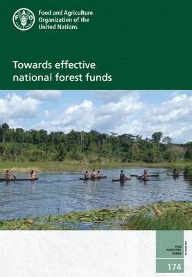 Towards effective national forest funds
