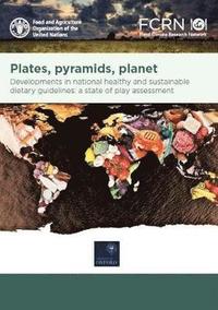 bokomslag Plates, pyramids, planet