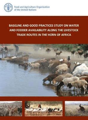 Food and Agriculture Organization - Baseline and Good Practices Study on Water and Fodder Availability Along the Livestock Trade Routes in the Horn of Africa, Häftad