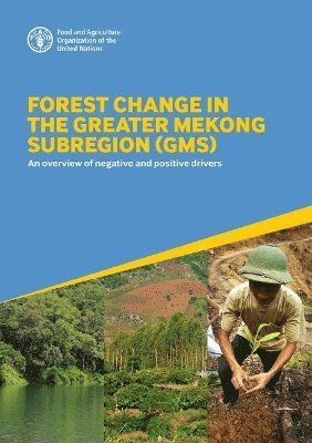 Forest Change in the Greater Mekong Subregion (GMS)