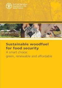 bokomslag Sustainable Woodfuel for Food Security