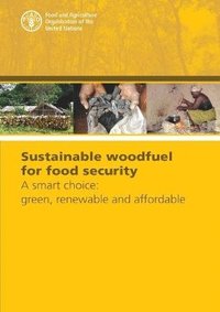 bokomslag Sustainable woodfuel for food security