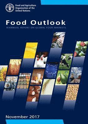 bokomslag Food outlook