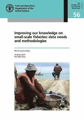 bokomslag Improving Our Knowledge on Small-scale Fisheries: Data Needs and Methodologies