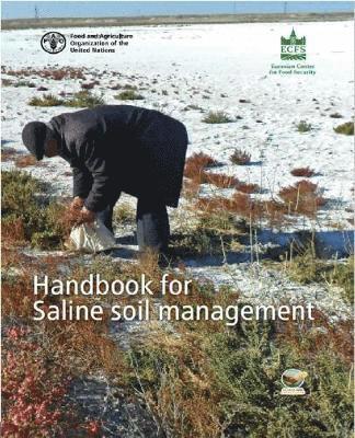 bokomslag Handbook for saline soil management