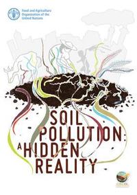bokomslag Soil pollution