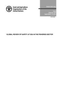 bokomslag Global review of safety at sea in the fisheries sector
