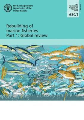 Rebuilding of marine fisheries