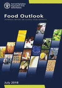 bokomslag Food outlook