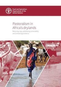 bokomslag Pastoralism in Africa's drylands
