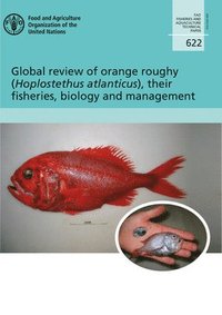 bokomslag Global review of Orange Roughy (Hoplostethus atlanticus), their fisheries, biology and management