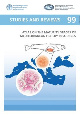 bokomslag Atlas of the maturity stages of Mediterranean fishery resources